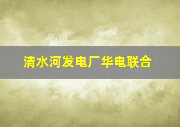 清水河发电厂华电联合