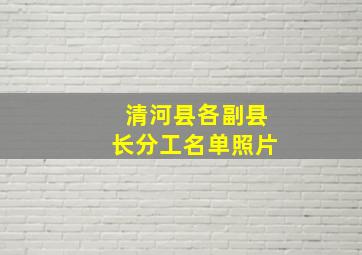 清河县各副县长分工名单照片