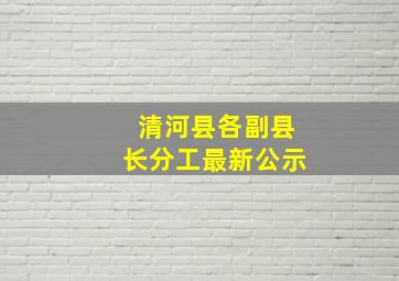 清河县各副县长分工最新公示