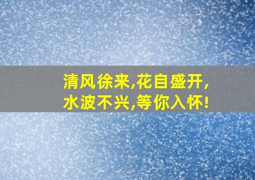 清风徐来,花自盛开,水波不兴,等你入怀!