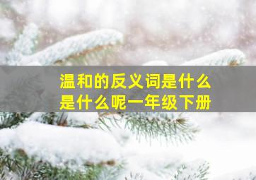 温和的反义词是什么是什么呢一年级下册