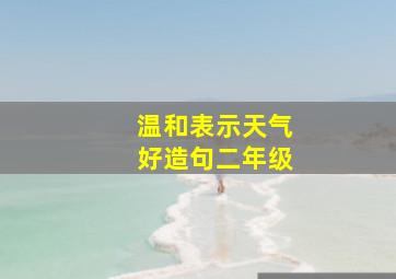 温和表示天气好造句二年级