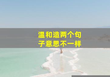 温和造两个句子意思不一样