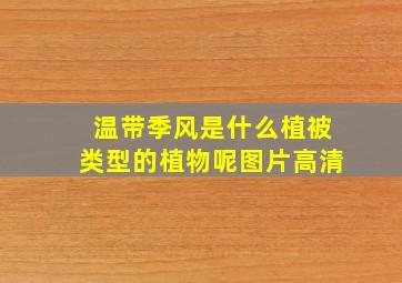 温带季风是什么植被类型的植物呢图片高清