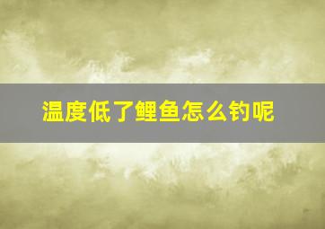 温度低了鲤鱼怎么钓呢