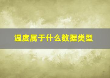 温度属于什么数据类型