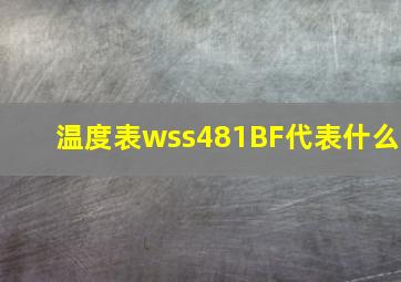 温度表wss481BF代表什么