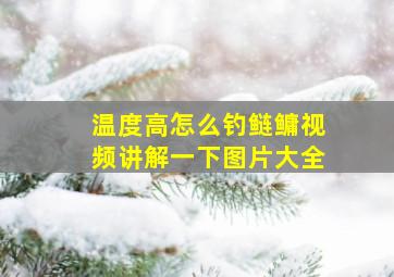 温度高怎么钓鲢鳙视频讲解一下图片大全