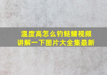 温度高怎么钓鲢鳙视频讲解一下图片大全集最新