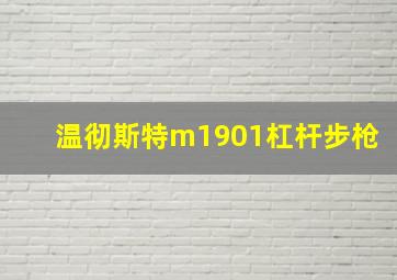 温彻斯特m1901杠杆步枪