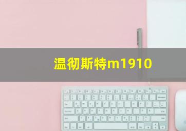 温彻斯特m1910