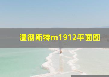 温彻斯特m1912平面图