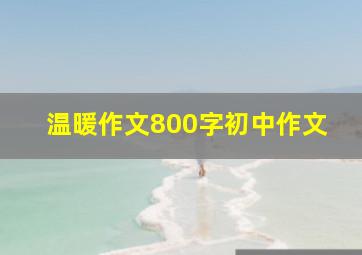 温暖作文800字初中作文