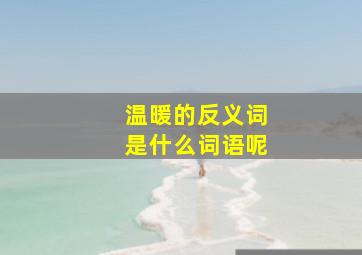 温暖的反义词是什么词语呢