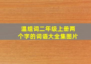 温组词二年级上册两个字的词语大全集图片