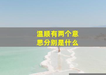 温顺有两个意思分别是什么