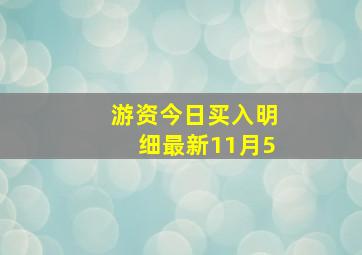 游资今日买入明细最新11月5