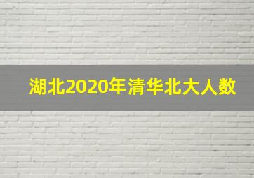 湖北2020年清华北大人数