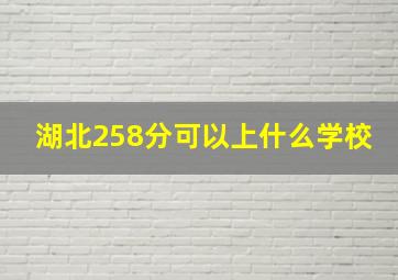 湖北258分可以上什么学校