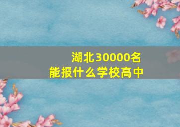 湖北30000名能报什么学校高中