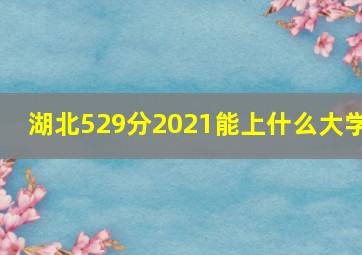 湖北529分2021能上什么大学