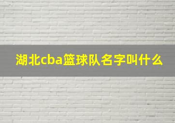 湖北cba篮球队名字叫什么