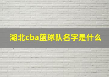 湖北cba篮球队名字是什么