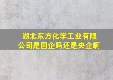 湖北东方化学工业有限公司是国企吗还是央企啊