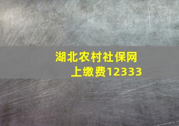 湖北农村社保网上缴费12333