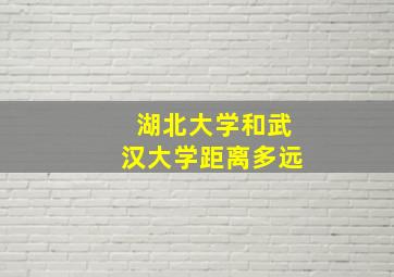 湖北大学和武汉大学距离多远