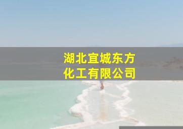 湖北宜城东方化工有限公司