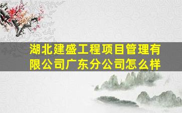 湖北建盛工程项目管理有限公司广东分公司怎么样