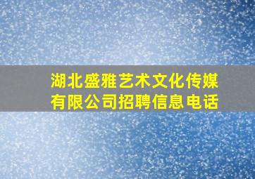 湖北盛雅艺术文化传媒有限公司招聘信息电话