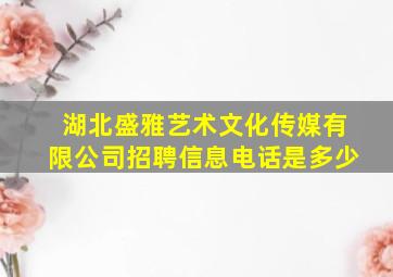 湖北盛雅艺术文化传媒有限公司招聘信息电话是多少