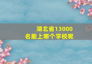 湖北省13000名能上哪个学校呢