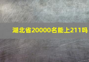 湖北省20000名能上211吗