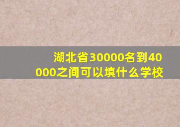 湖北省30000名到40000之间可以填什么学校