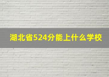 湖北省524分能上什么学校