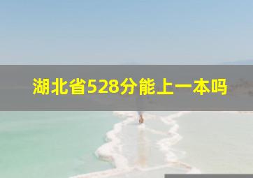 湖北省528分能上一本吗