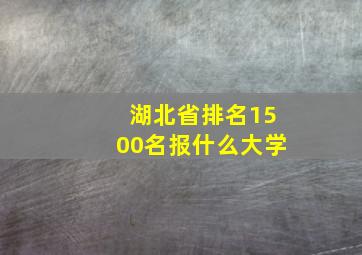 湖北省排名1500名报什么大学