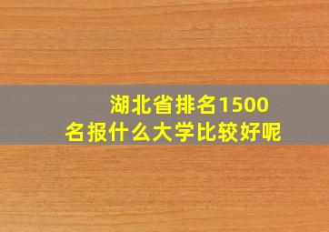 湖北省排名1500名报什么大学比较好呢