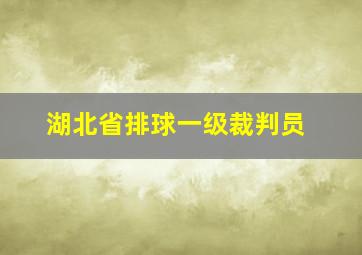 湖北省排球一级裁判员