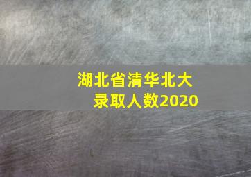 湖北省清华北大录取人数2020