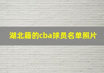 湖北籍的cba球员名单照片