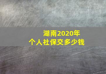 湖南2020年个人社保交多少钱