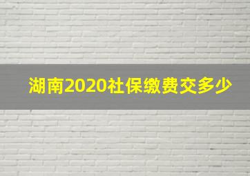 湖南2020社保缴费交多少