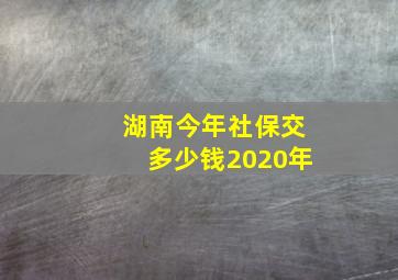 湖南今年社保交多少钱2020年