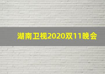 湖南卫视2020双11晚会