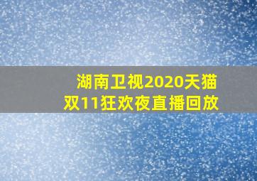 湖南卫视2020天猫双11狂欢夜直播回放