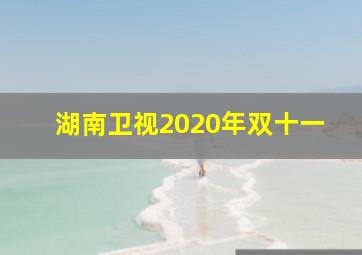 湖南卫视2020年双十一